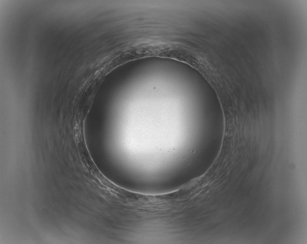 X0000080671109200612151149