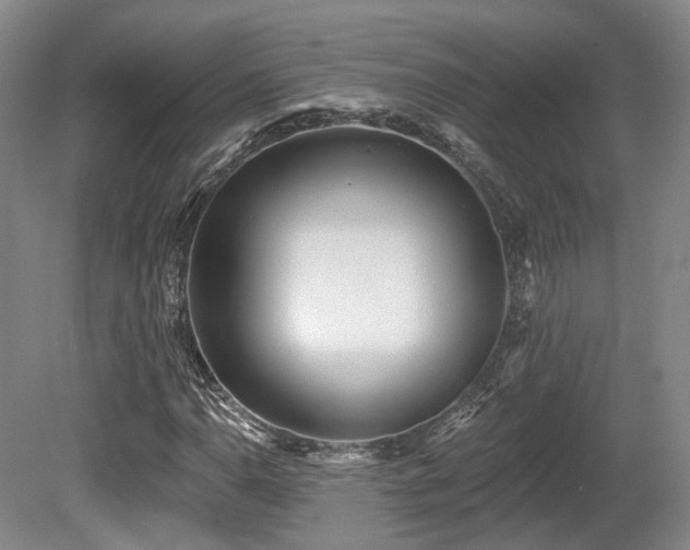 X0000080671110200612151149