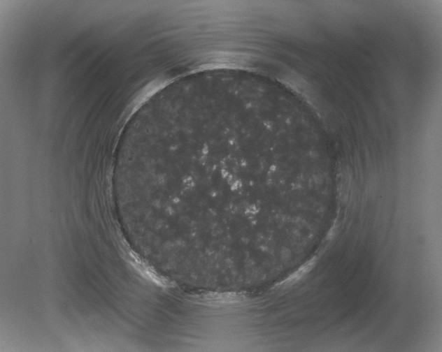 X0000080671121200612151150