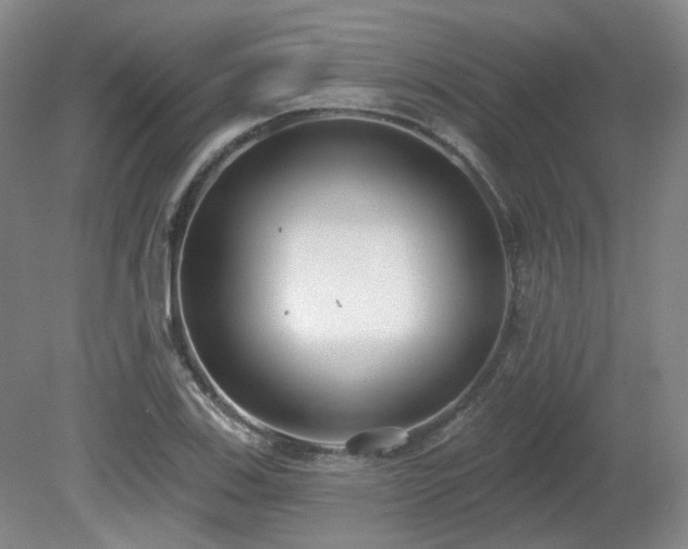 X0000080671123200612151150
