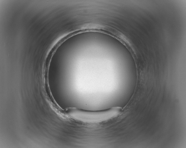 X0000080671124200612151150