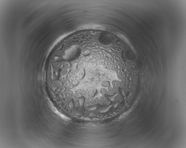 X0000080671125200612151150