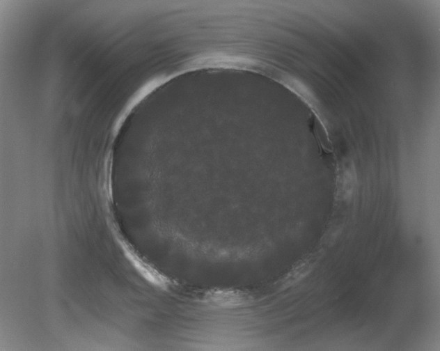 X0000080671128200612151150