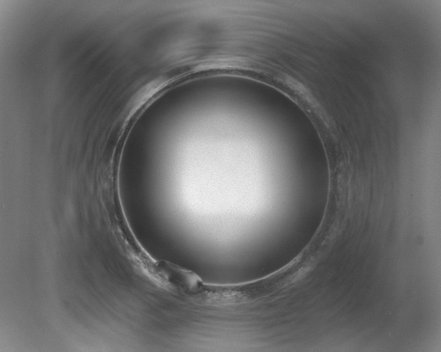 X0000080671129200612151150