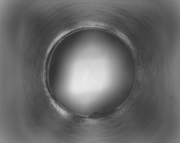 X0000080671136200612151150