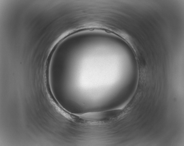 X0000080671142200612151150