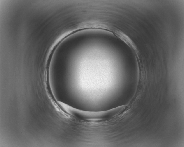 X0000080671144200612151150