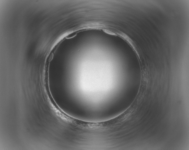 X0000080671147200612151150