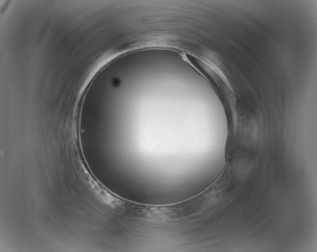 X0000080671148200612151150