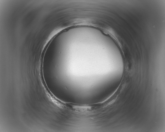 X0000080671149200612151150