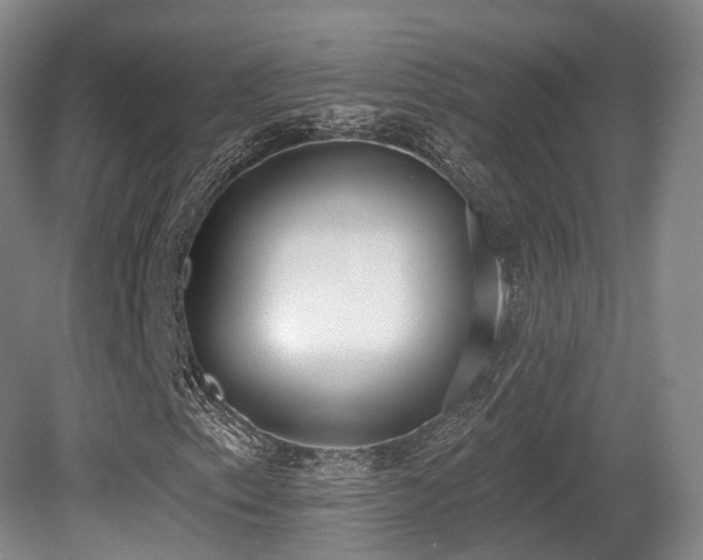 X0000080671153200612151149