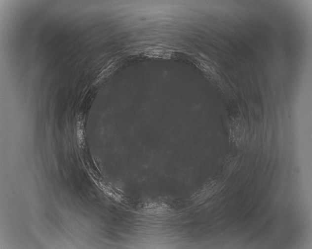 X0000080671154200612151149