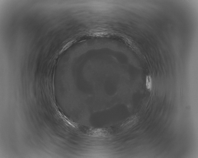 X0000080671155200612151149
