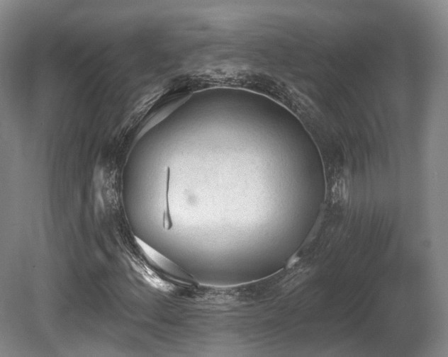 X0000080671156200612151149