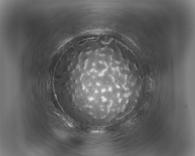 X0000080671158200612151149