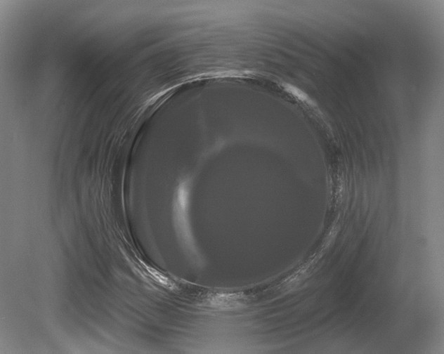 X0000080671161200612151149