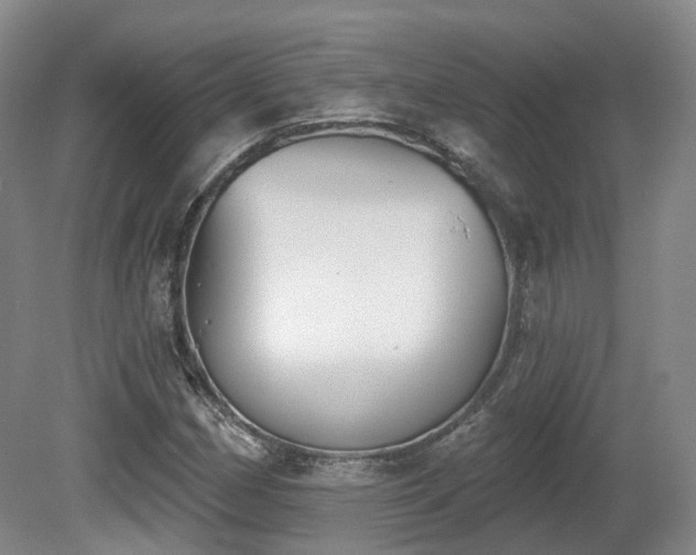 X0000080671162200612151149
