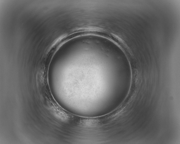 X0000080671163200612151149