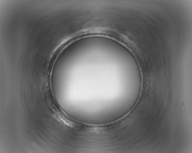 X0000080671166200612151149