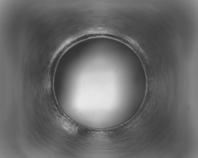 X0000080671167200612151149