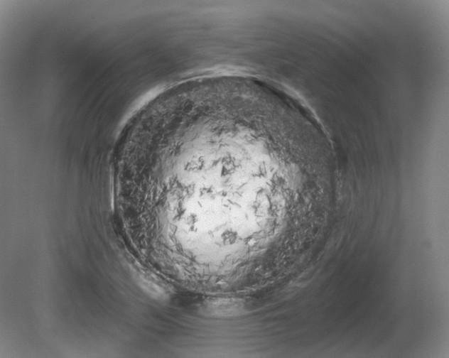 X0000080671171200612151149