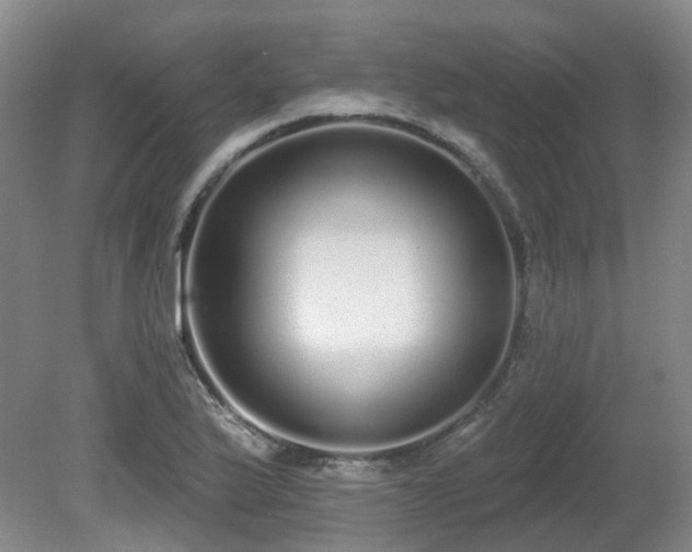 X0000080671175200612151149