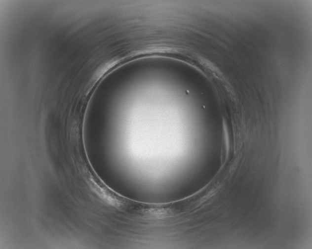 X0000080671177200612151149