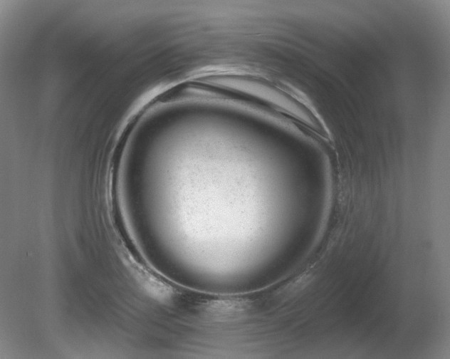 X0000080671179200612151149