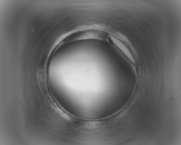 X0000080671184200612151149