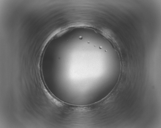 X0000080671189200612151149
