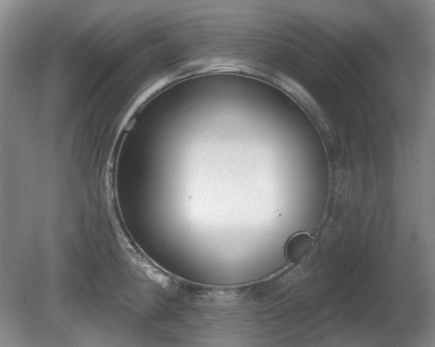 X0000080671190200612151149