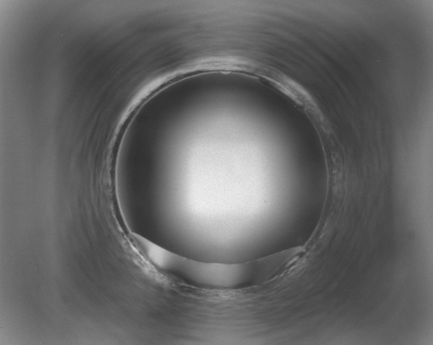 X0000080671192200612151149