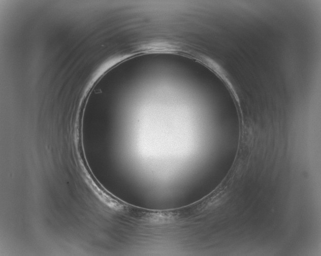 X0000080671195200612151149