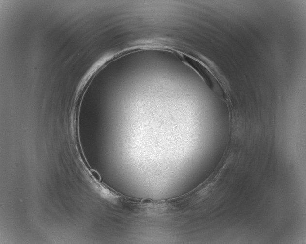 X0000080671196200612151149