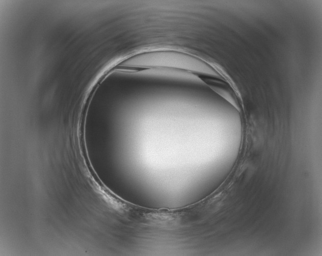 X0000080671197200612151149