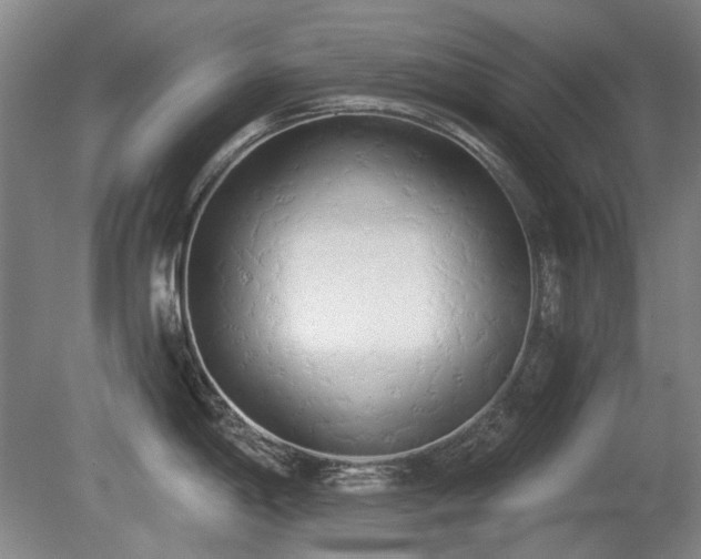X0000080671198200612151149