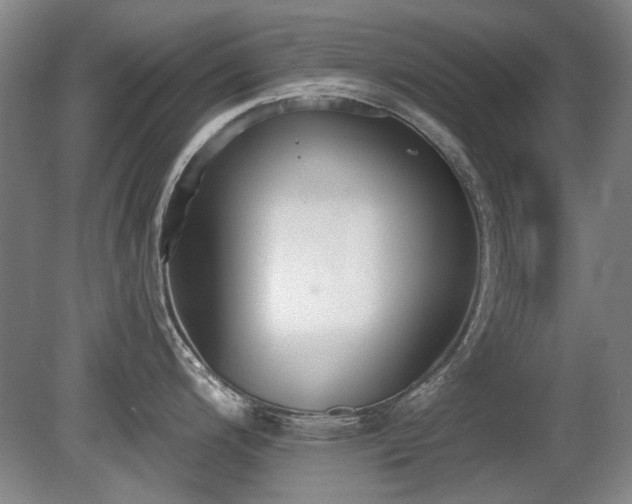 X0000080671200200612151149