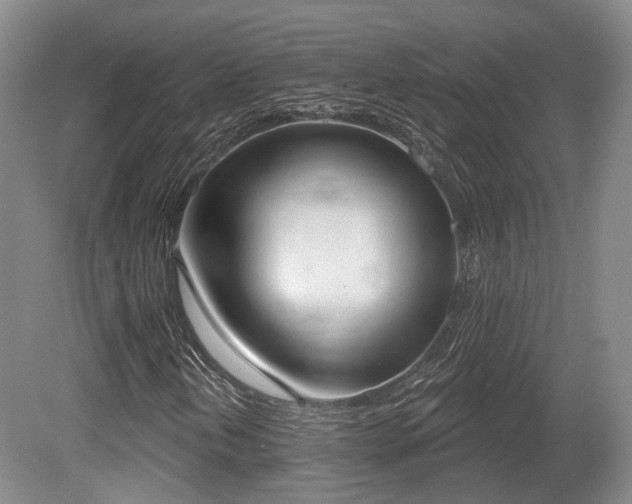 X0000080671202200612151148