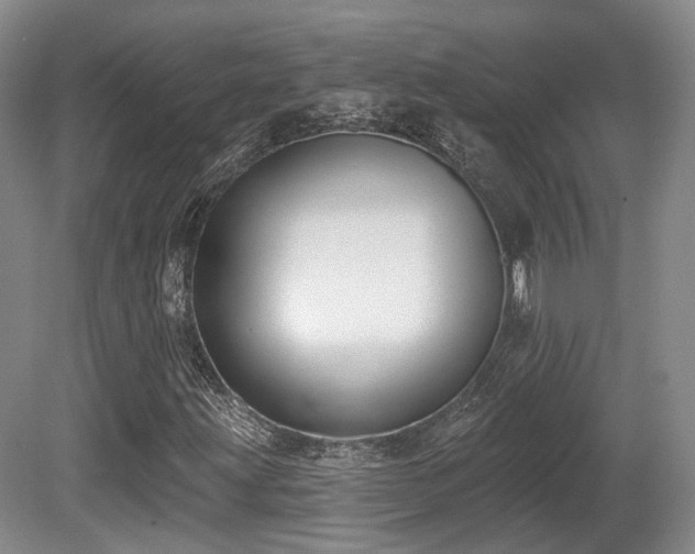 X0000080671203200612151148