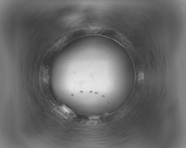 X0000080671204200612151148