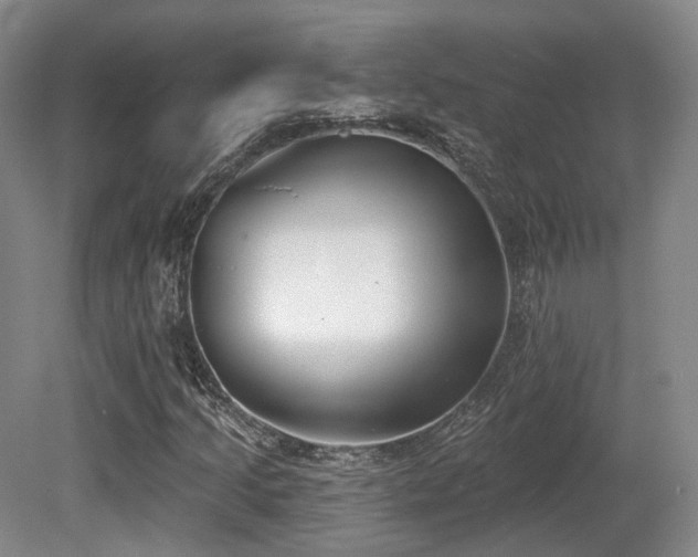 X0000080671205200612151148