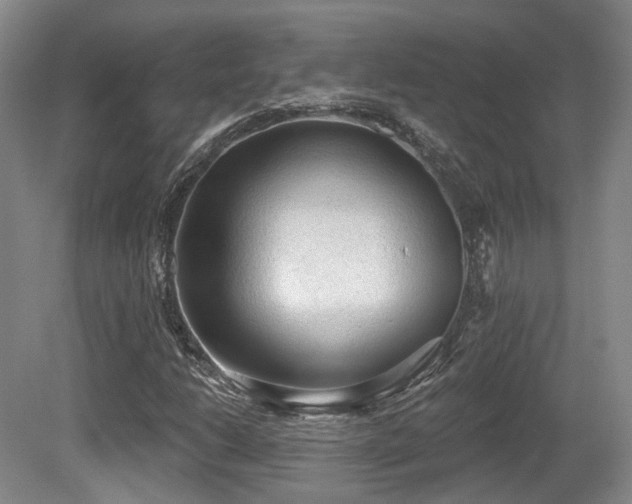 X0000080671206200612151148
