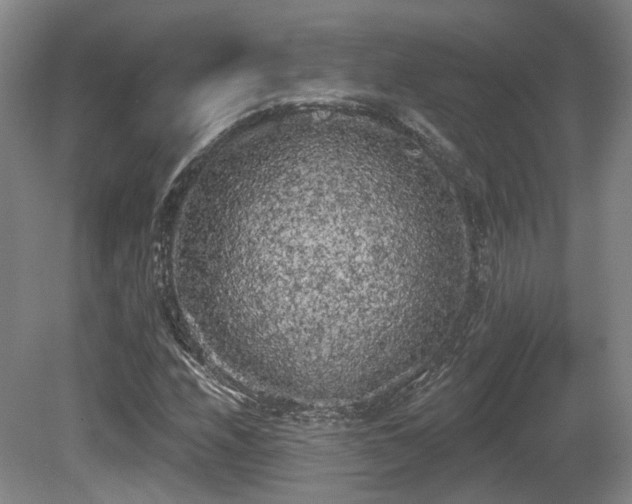X0000080671208200612151148