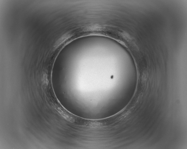 X0000080671209200612151148