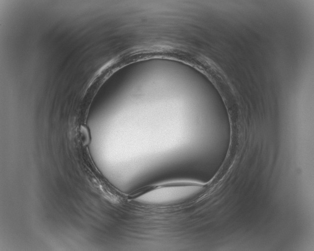 X0000080671210200612151148