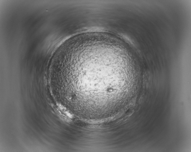 X0000080671212200612151148
