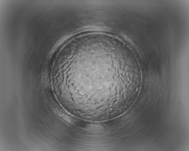 X0000080671215200612151148