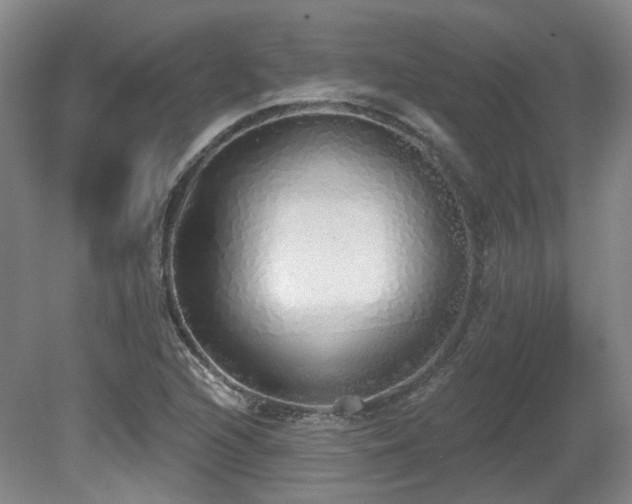 X0000080671216200612151148