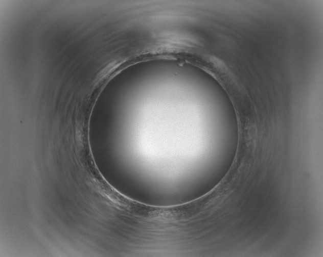 X0000080671217200612151148