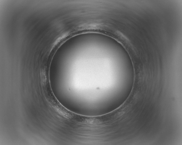 X0000080671218200612151148